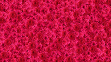 red rose pink for valentine day or wedding background