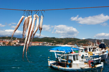 Griechenland, Gythio, Tintenfisch, der im Hafen zum Trocknen hängt  © sida