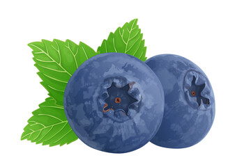 Obraz premium Wild blueberry berries with green leaves. Ripe fruits ingredient for healthy eating. Isolated on white background. Eps10 vector illustration.