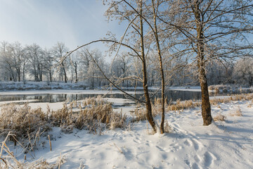 winter river, trees in the snow, view of the snow-covered forest