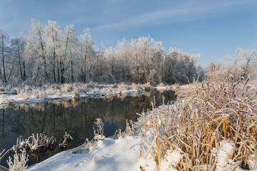 winter river, trees in the snow, view of the snow-covered forest