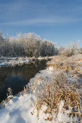 winter river, trees in the snow, view of the snow-covered forest