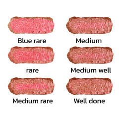 Set of various conditions of steak cooking vector graphic illustration. Collection of appetizing barbecue meat piece blue, rare medium and well doneness isolated on white background. Vector eps 10. pe