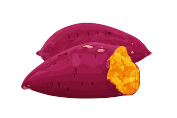 Illustration of whole sweet potato and sweet potato cut in half A smoked yamVector eps 10.