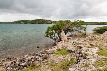 Wide angle view of the beach at St. Joris Bay on the caribbean island Curacao. Under the tree at...