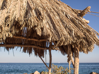 Palm leaves umbrella on the island, sea view landscape