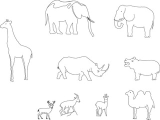 set  collection of vector sketches of simple forest animal silhouette illustrations for coloring children
