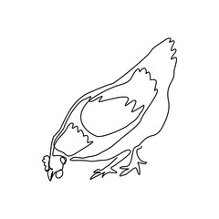 Continuous single one line art drawing of chicken rooster hen. Vector illustration of animal natural farming