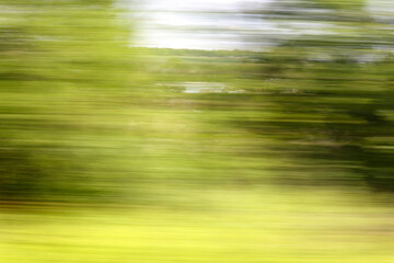 Green nature in summer in motion.