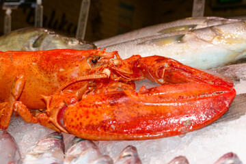 lobster on a market stall