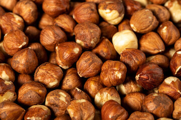 Fresh hazelnut nuts on dark background. Many delicious nuts as background. Studio shoot. Top view