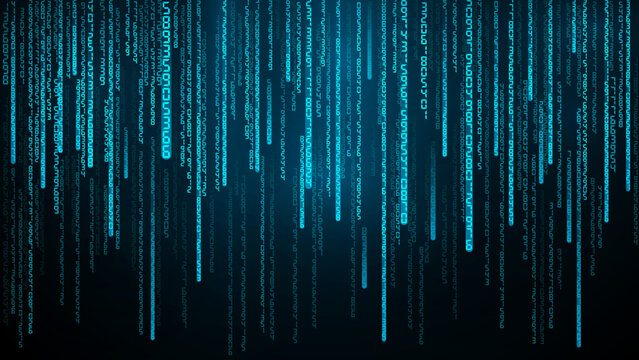 DECIMAL BINARY PROGRAMMING SYSTEM
