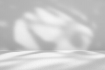 White Room with Tree Branch Shadow on Concrete Wall Texture Background, Suitable for Product...
