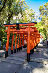 Fototapeta na wymiar Kobe Japan Dec 6th 2022: The Red torii along a path at the the Inari Ōkami in Ikuta Shrine. The shrine is possibly among the oldest shrines in the country.