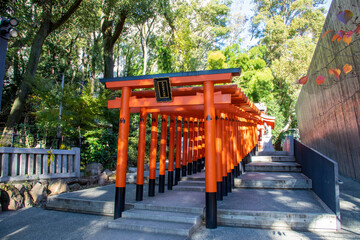 Kobe Japan Dec 6th 2022: The Red torii along a path at the the Inari Ōkami in Ikuta Shrine.
The...