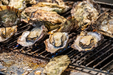 the closeup image of grilled oyster provided by local restaurant in Itsukushima， part of the city of Hatsukaichi in Hiroshima Prefecture Japan.  Oyster is popular and famous local food. 