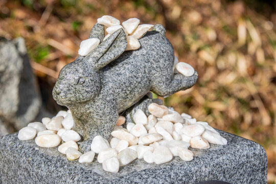 The statue of white rabbit in Hakuto Shrine Tottori Japan. There are many white stones (Musubi Ishi) for wish, that has the Chinese character “bond” in red. 