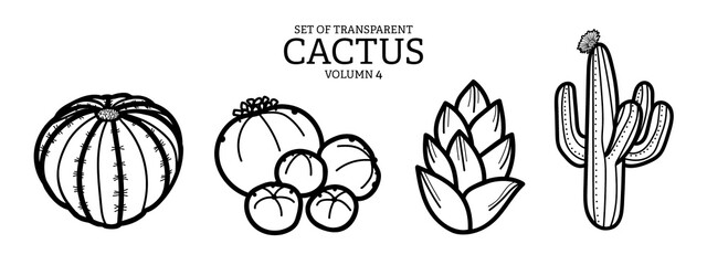 Cute hand drawn isolated black outline cactus on transparent background png file © Plawarn