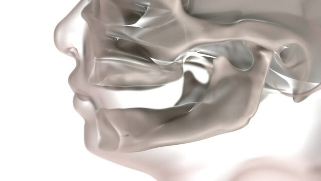 Teeth development of babes X-Ray 3d animation. 