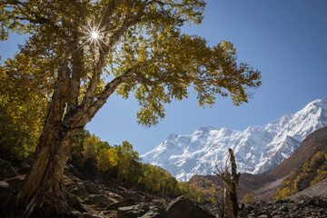 Beautiful view of Nanga Parbat mountain, picture taken on the way to Nanga Parbat Base Camp, Pakistan