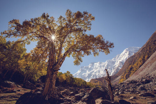 Beautiful view of Nanga Parbat mountain, picture taken on the way to Nanga Parbat Base Camp, Pakistan