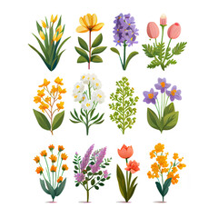 set vector illustration of bloming flowers isolate background International Women's Day and Spring Festival