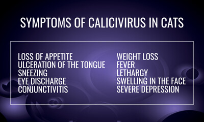 Symptoms of Calicivirus in Cats. Vector illustration for medical journal or brochure. © ангелина ковальчук