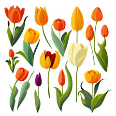 set vector illustration of bloming flowers isolate background International Women's Day and Spring Festival