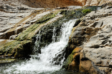 Streams and waterfalls Nature Reserve Ein Gedi