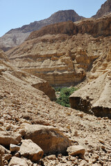 Dead Sea Mountains