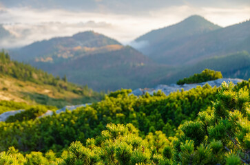 Scenic mountain background.