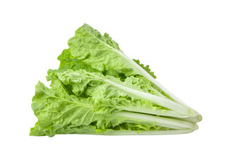 fresh lettuce leaves isolated on transparent png