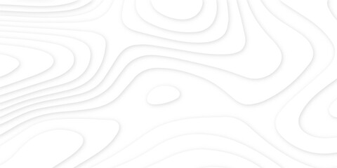 Abstract 3d wavy line paper cut white background.realistic papercut decoration textured with wavy layers.3d Topographic canyon geometric map relief texture with curved layers and shadow.