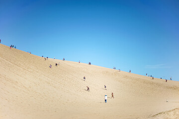 鳥取県観光地_鳥取砂丘
