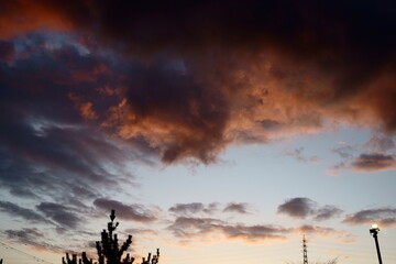 夕日に浮かぶちぢれ雲の空