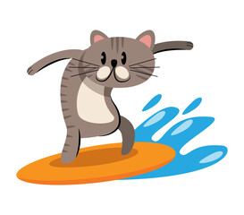 cat playing surf