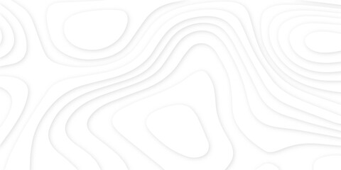 Abstract 3d wavy line paper cut white background.realistic papercut decoration textured with wavy layers.3d Topographic canyon geometric map relief texture with curved layers and shadow.