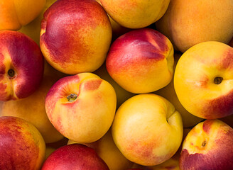 Background of juicy, ripe fruits. Nectarines, peaches. View from above. close-up. Copy space