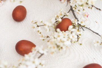 Easter cake and painted eggs blooming branch