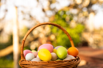 painted Easter eggs in basket on grass. Traditional decoration in sun light