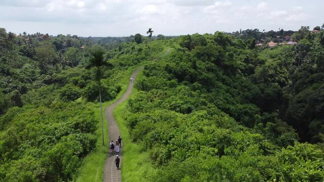 Amazing Bali