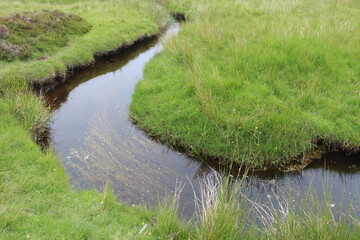 Transparent stream with clear water among pastures with grass and heather