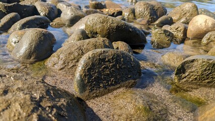 Sacramento River Algae Rocks