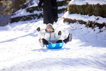ゲレンデでそり滑りをする男の子