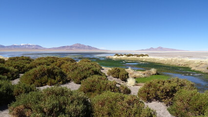 Obraz premium Paisagem Deserto do Atacama Chile -Landscape Atacama Desert Chile