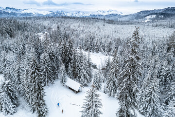 Man walk dog in winter forest and snowy mountains
