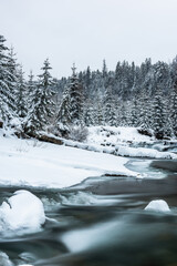 Snow covered trees and wild river in mountains at winter