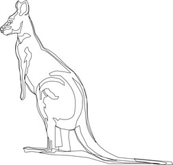 kangaroo abstract silhouette illustration vector sketch for kid coloring