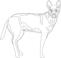 illustration of a sketch of a dog