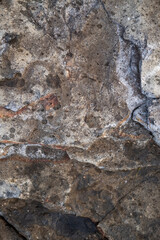 Stone Wet texture
